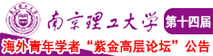 日本叉叉叉video网站南京理工大学第十四届海外青年学者紫金论坛诚邀海内外英才！